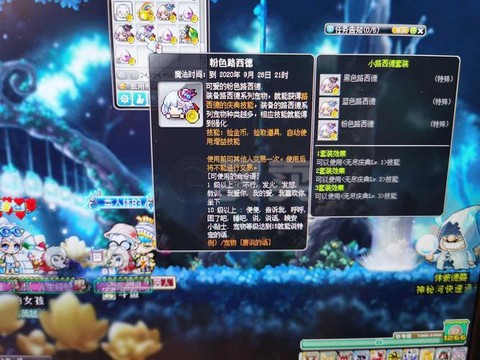 冒险岛2宠物怎么抓捕