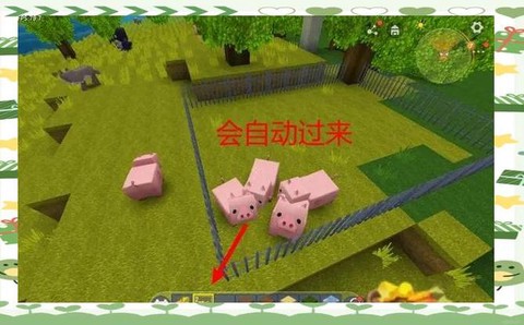 迷你世界怎么养殖猪[图1]