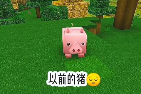 迷你世界怎么养殖猪[图2]