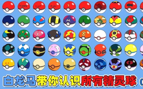 神奇宝贝球里面是什么