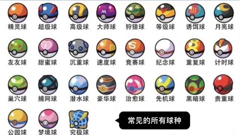 神奇宝贝球里面是什么[图1]