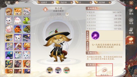 天龙八部怎么捕捉宠物