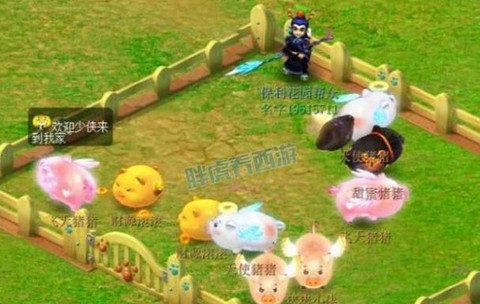 梦幻西游瑞祥有什么用