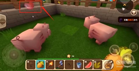 迷你世界怎么让猪睡眠