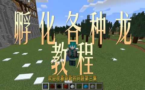 我的世界鬼龙怎么孵化