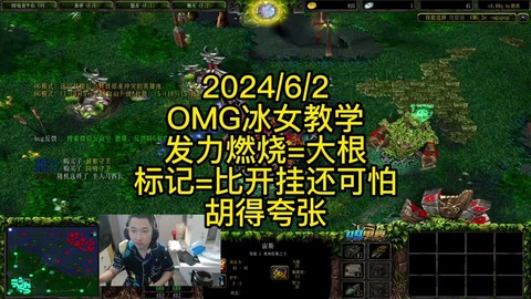 dota2大根是什么