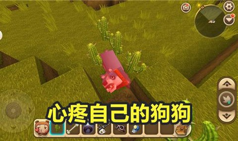 迷你世界怎么驯服狼